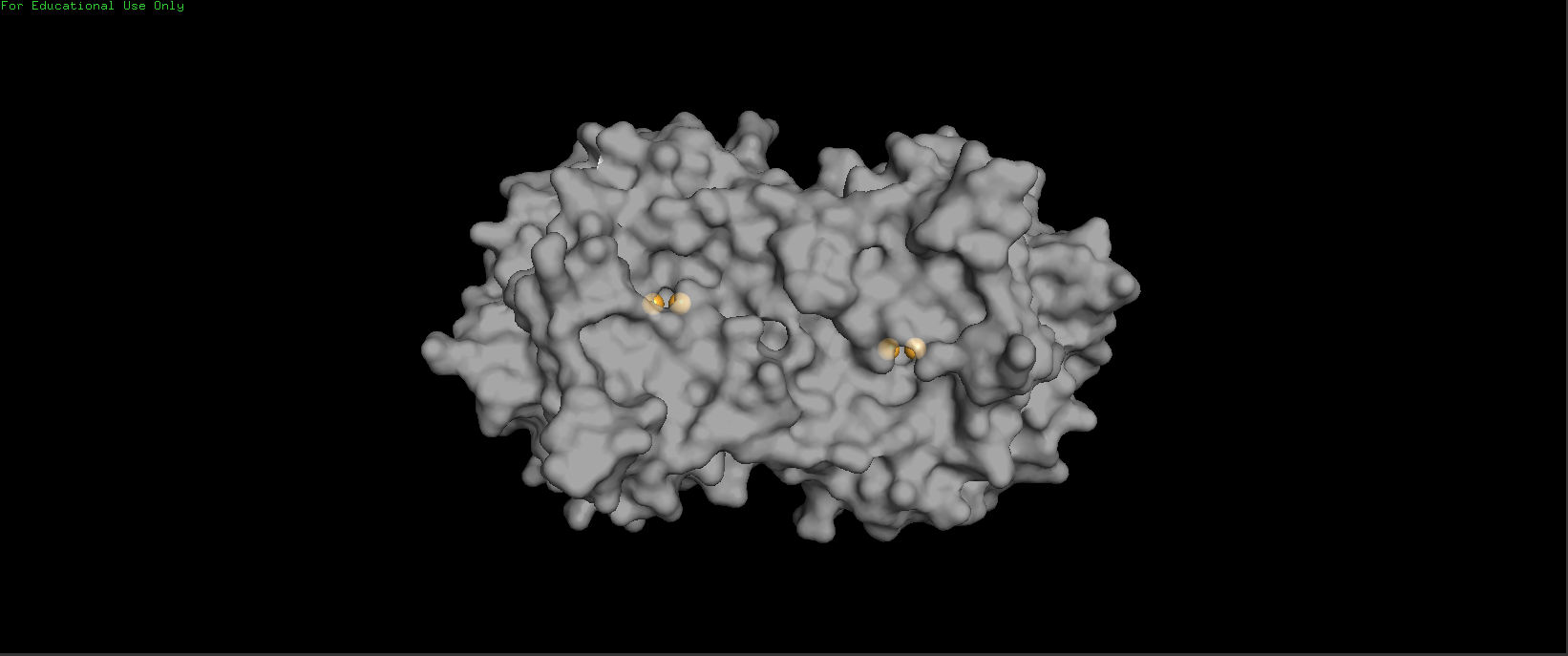 Tyrosinase Active Sites